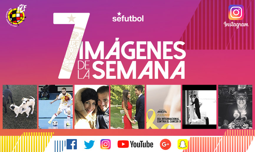 ¡No te pierdas los instagrams de la semana!