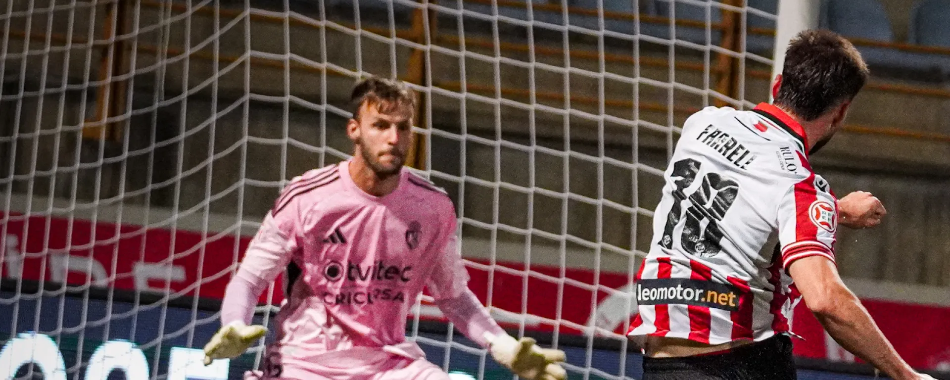 PARTIDO SOLIDARIO