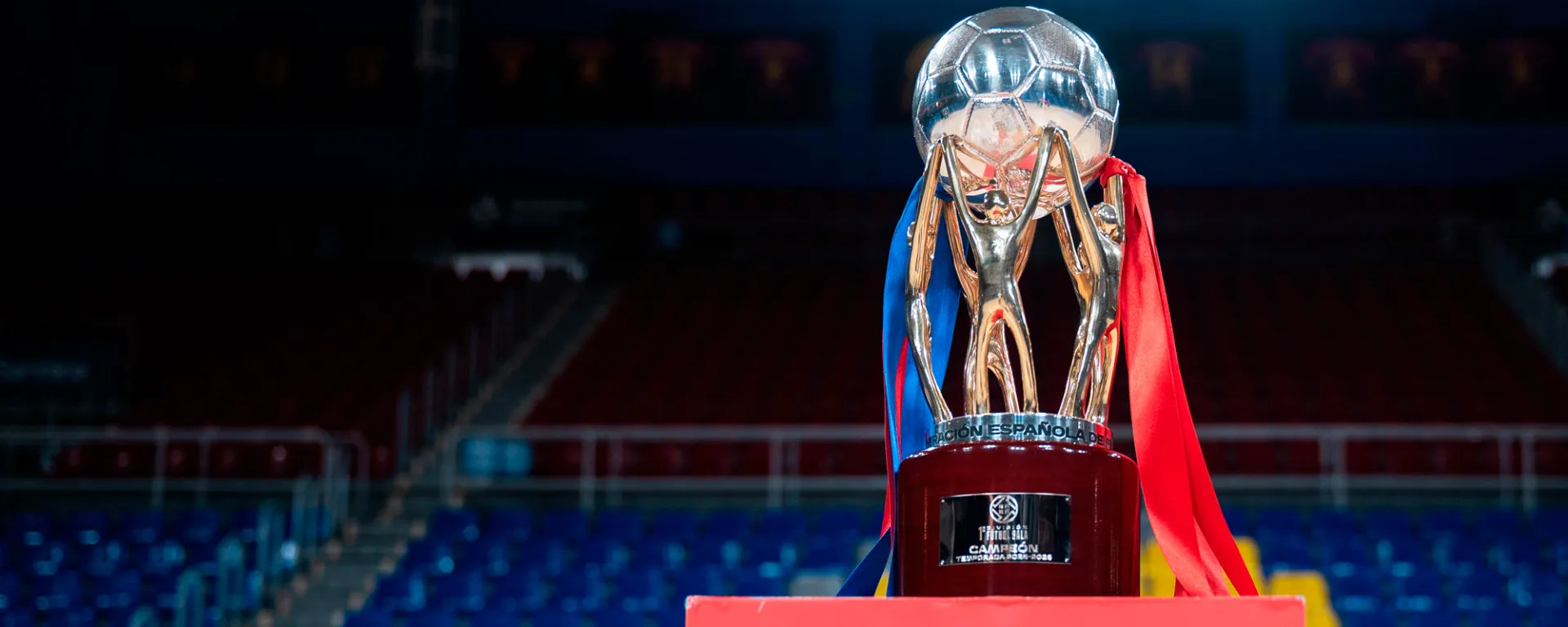 COPA DE LA LIGA FS