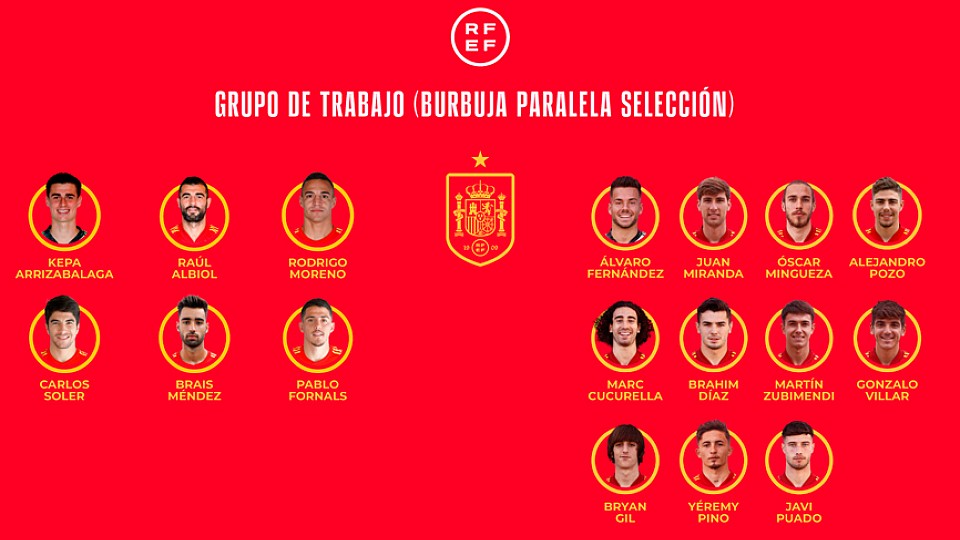 Grupo de trabajo para la burbuja paralela de la Selección española