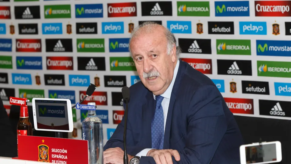 El Seleccionador nacional Vicente del Bosque, durante una rueda de prensa en la Ciudad del Fútbol
