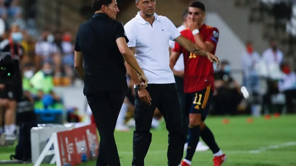 El seleccionador nacional durante el partido contra Georgia en Badajoz