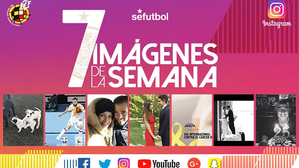 ¡No te pierdas los instagrams de la semana!