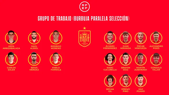 Grupo de trabajo para la burbuja paralela de la Selección española