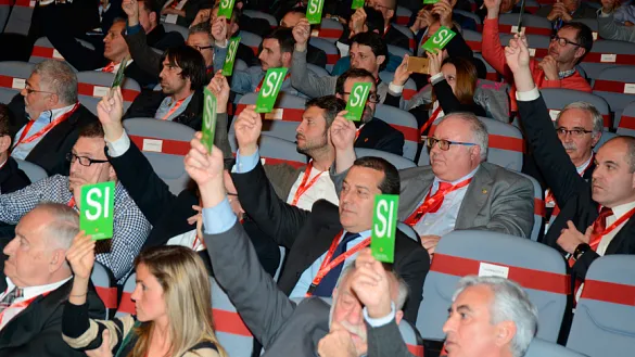 Los asistentes a una de las últimas asambleas de la RFEF emiten sus votos