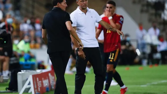 El seleccionador nacional durante el partido contra Georgia en Badajoz
